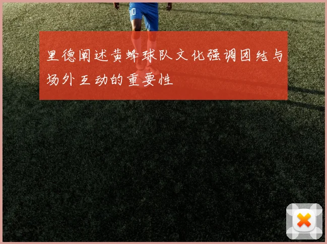 里德阐述黄蜂球队文化强调团结与场外互动的重要性