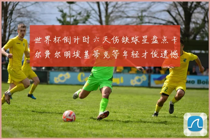 世界杯倒计时六天伤缺球星盘点卡尔费尔明埃基蒂克等年轻才俊遗憾缺席